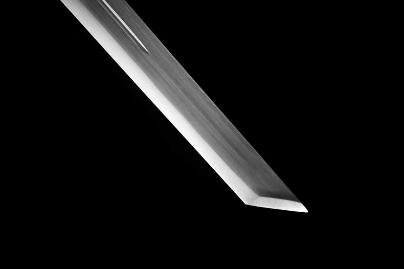 O1CN01HA8xEo2LDsdwfPz3v_1867249659-1-cib